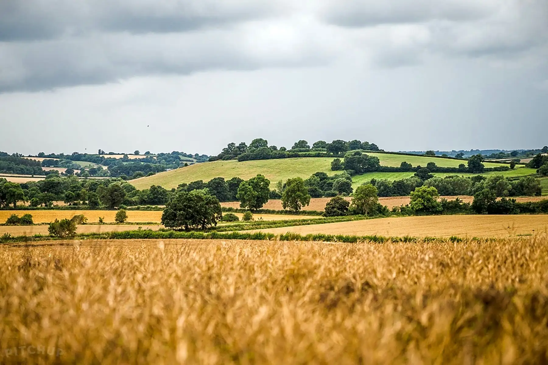Farm view
